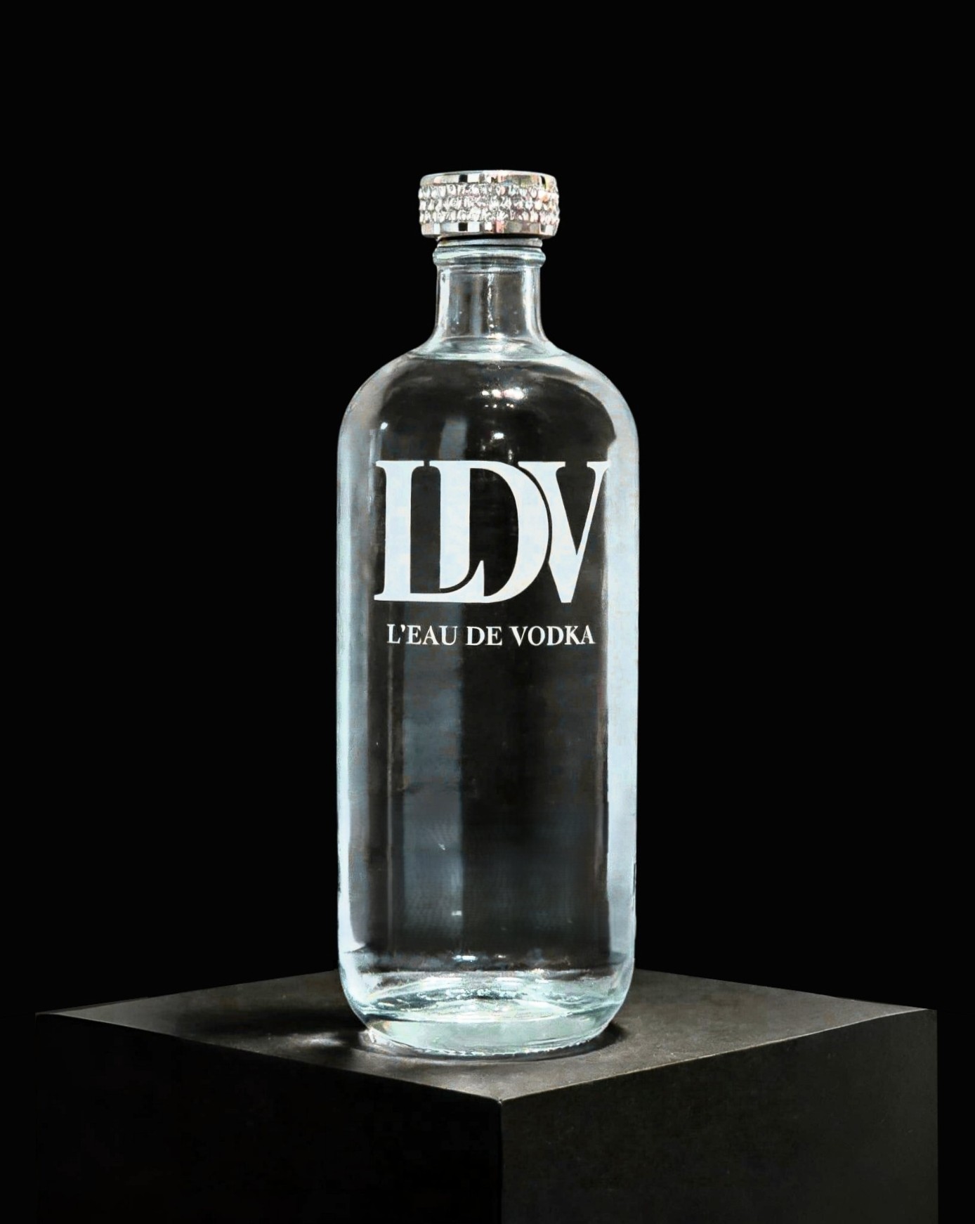 LDV - Portfolio Bild